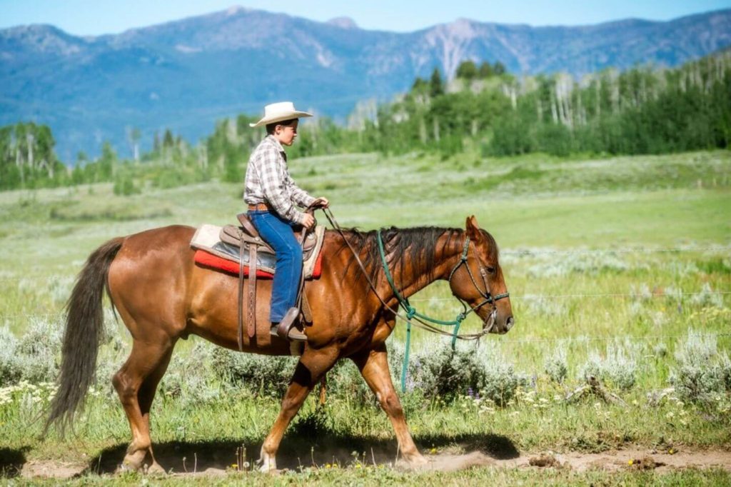 A cowboy riding a horse in a field with mountains in the background during family holidays.