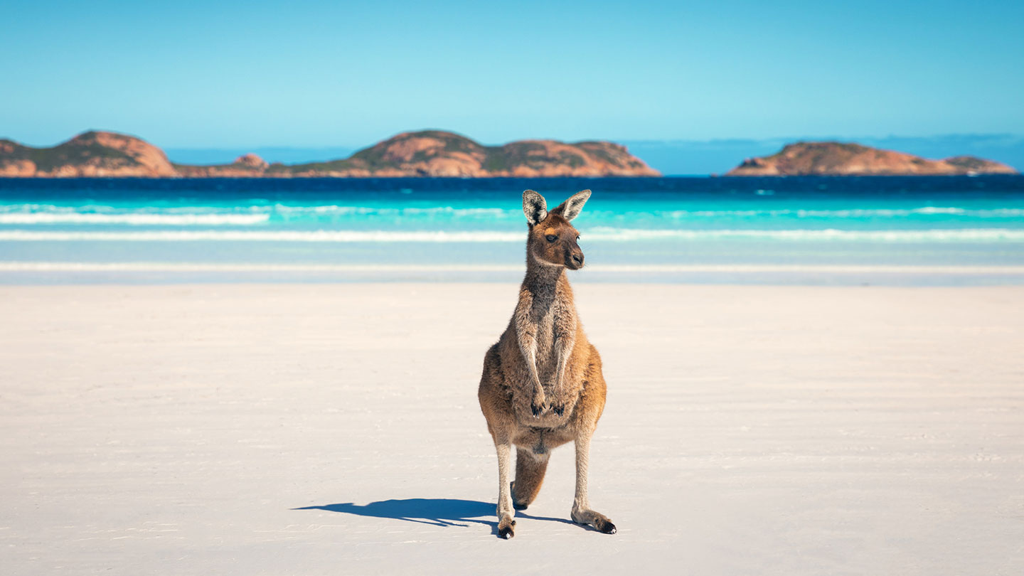 The most beautiful spring destinations to visit in Australia