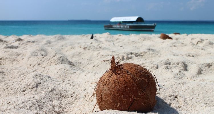 A White Christmas With A Difference How Zanzibar Celebrates Christmas