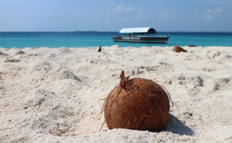 Zanzibar Kendwa Zanzibar Travel Cravings Choose The Best Airline For You By Reading Reviews And Viewing Best Straight Hairstyles