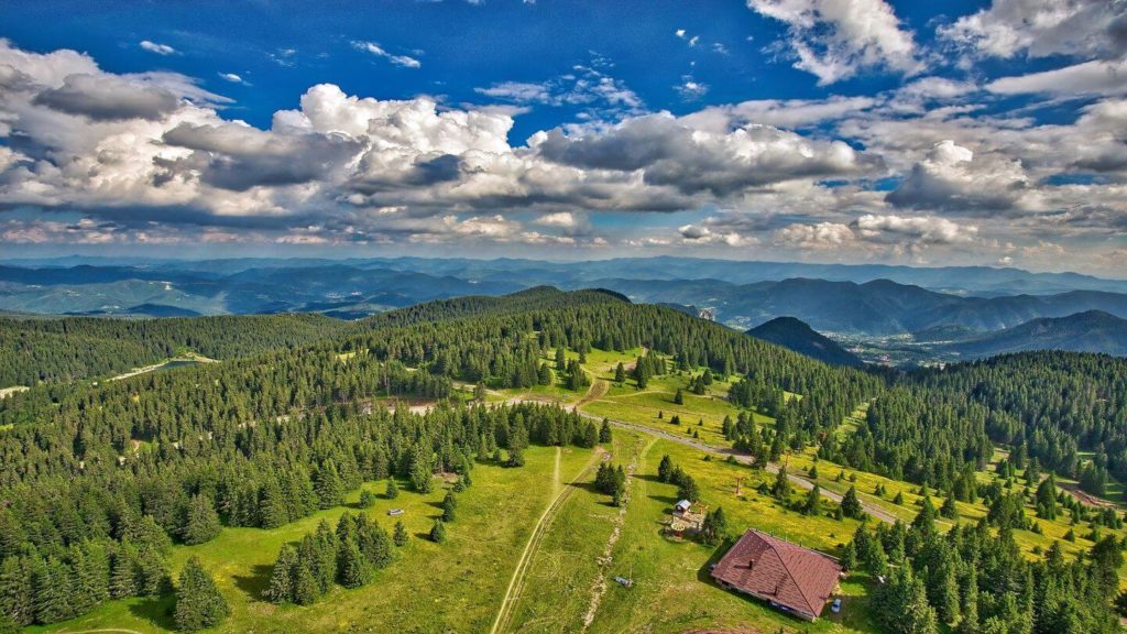 green forests mountains Bulgaria