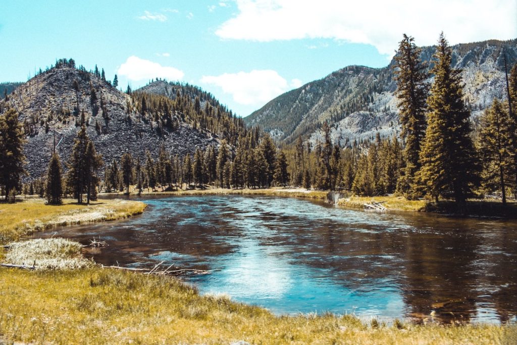 Yellowstone river valley