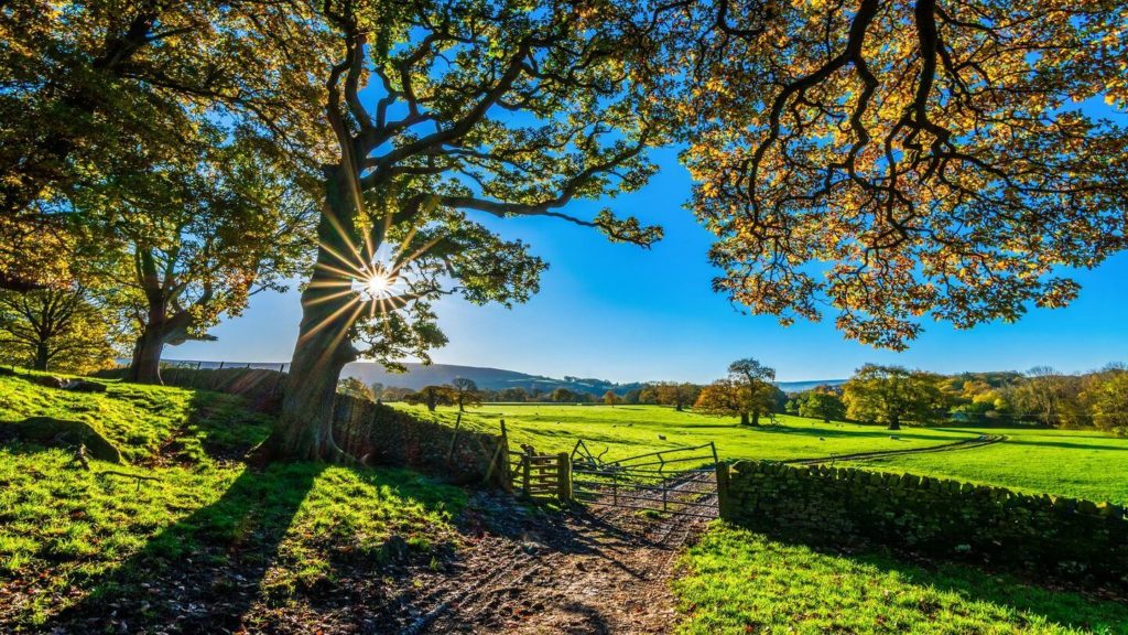 green countryside in England travel with friends