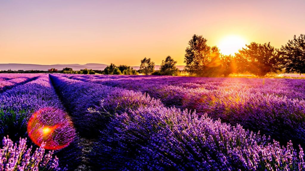 provence-best-of-france
