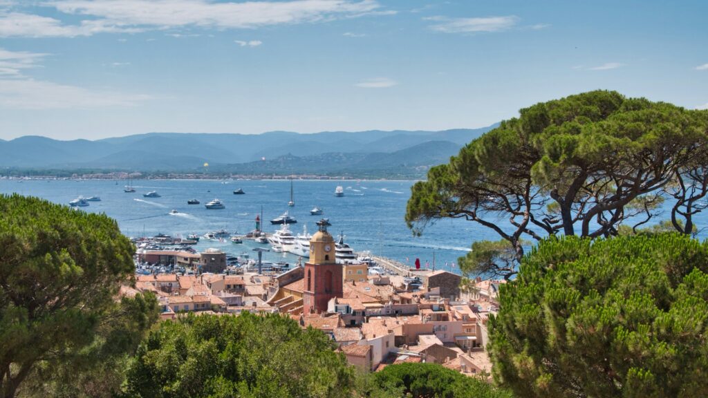 Umbrella pine trees in the foreground, background terracotta rooftops of a harbour town, yachts visible on the water beyond