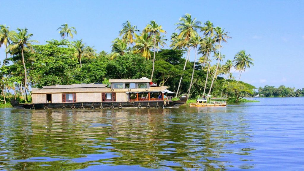 houseboat palm trees Kerala Backwaters India