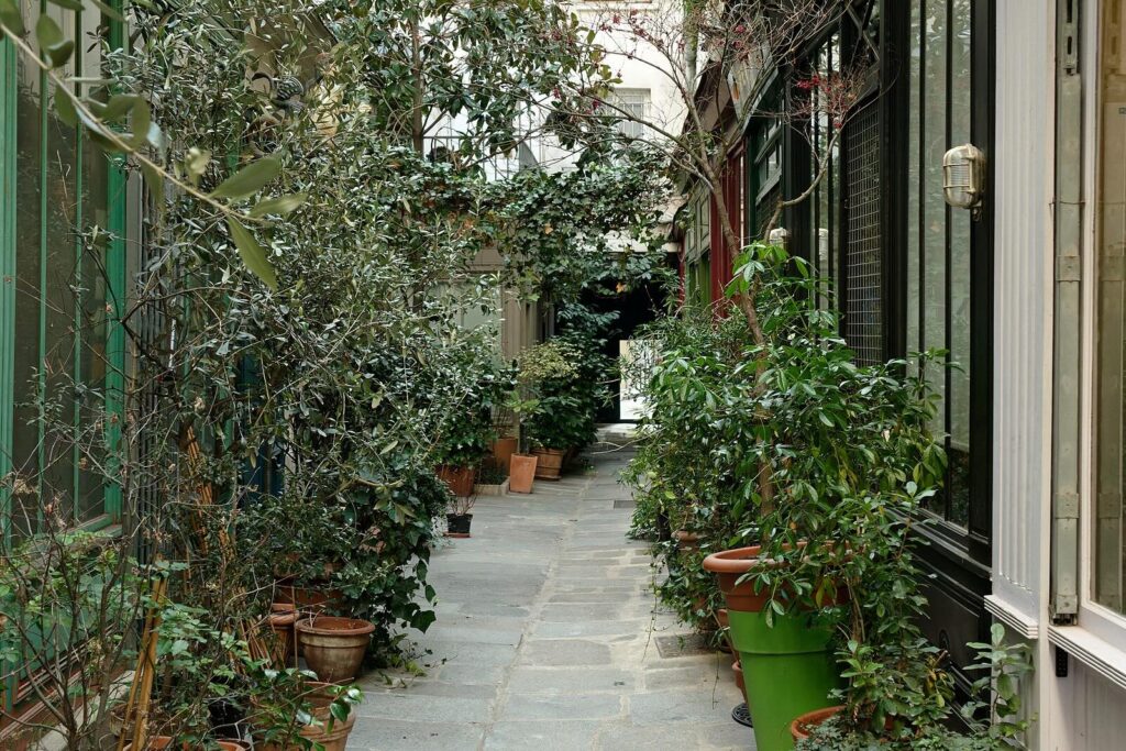 Passage de l'ancre in Paris, 2023. Stone flooring, plants lining the sides of the thin passage, in front of the buildings.
