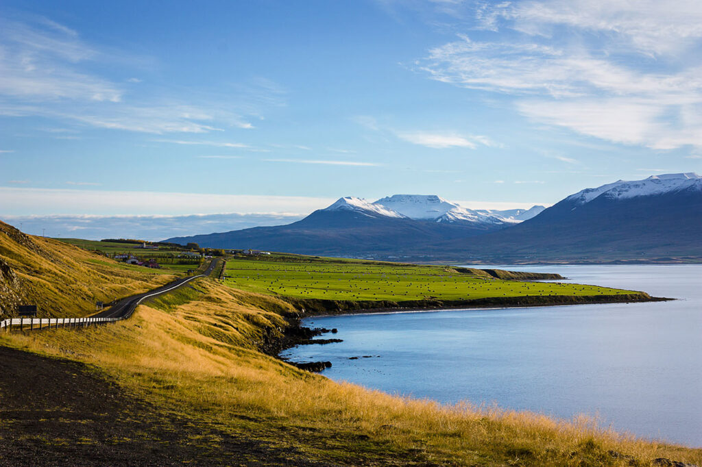 Icelandic language