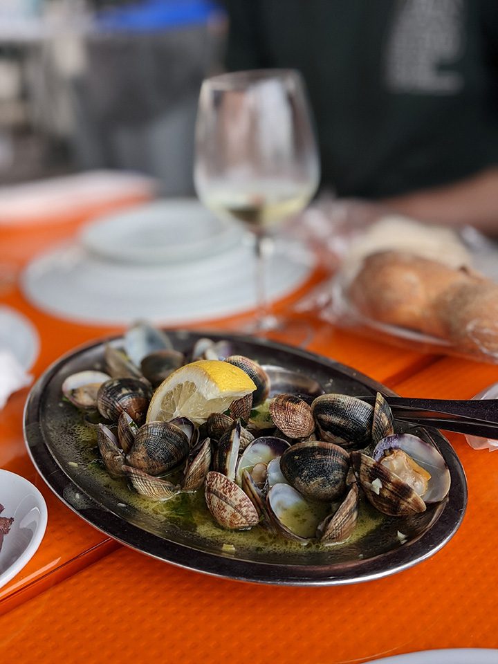 clams