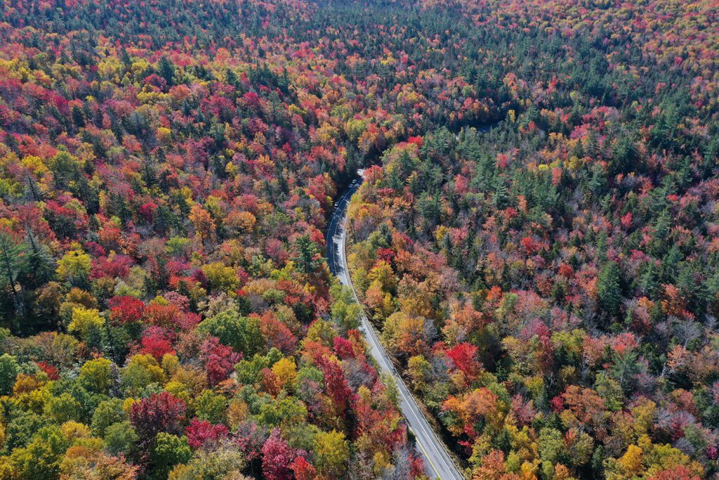 New England
