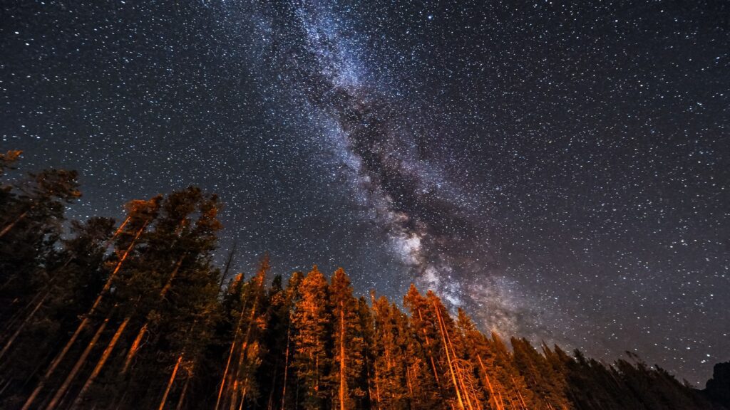 Image of the Milky Way and a starry sky over some trees at Yellowstone