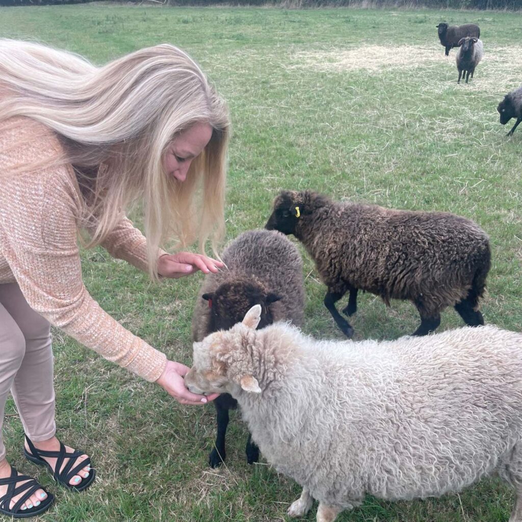Trafalgar past guest Gerri with sheep in Ireland
