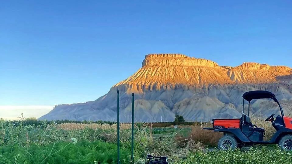 A picture of the Field to Fork farm, with a large mesa in the background