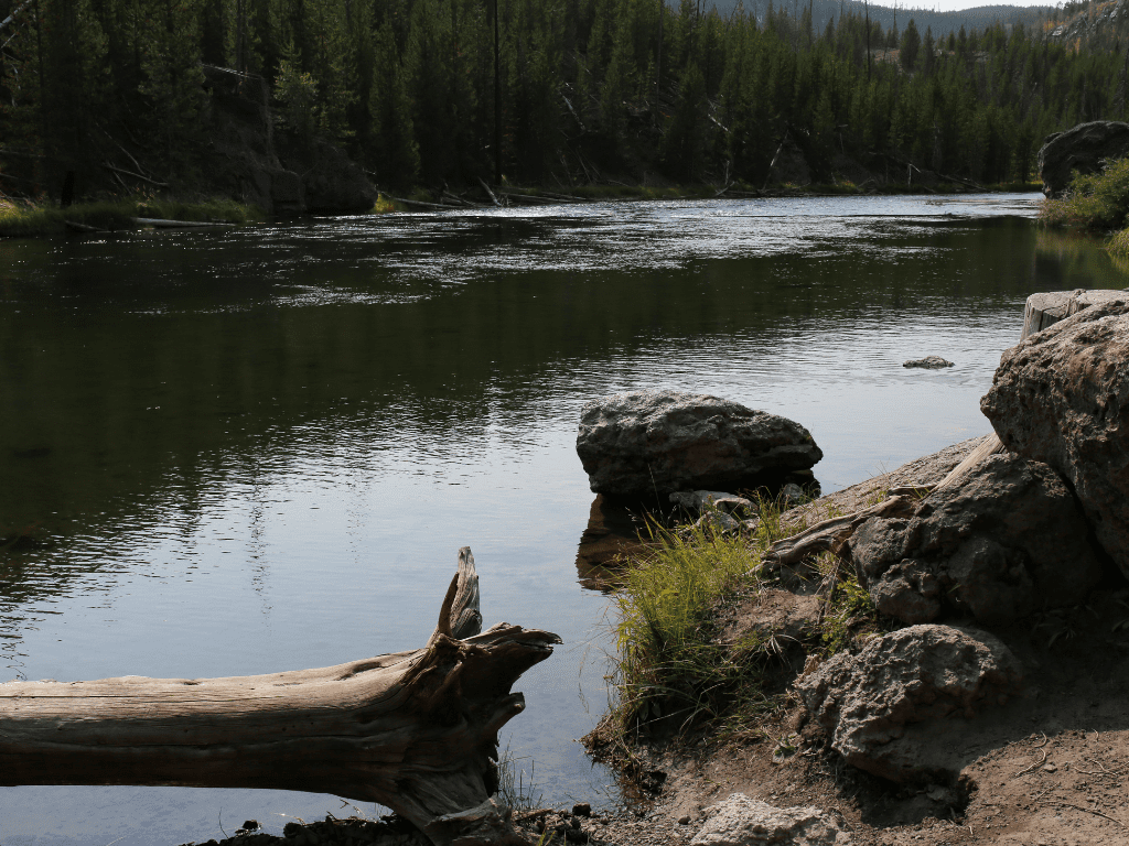 A river with stones, logs and forests adding to the scene. This is firehole swimming area
