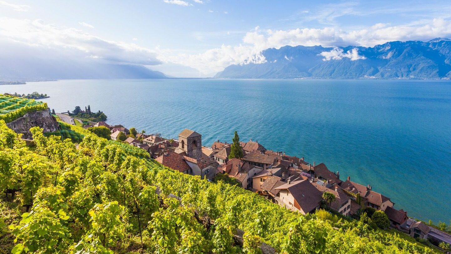 Aerial view of a Central European lakeside village with terraced vineyards and mountains in the background on a sunny day.