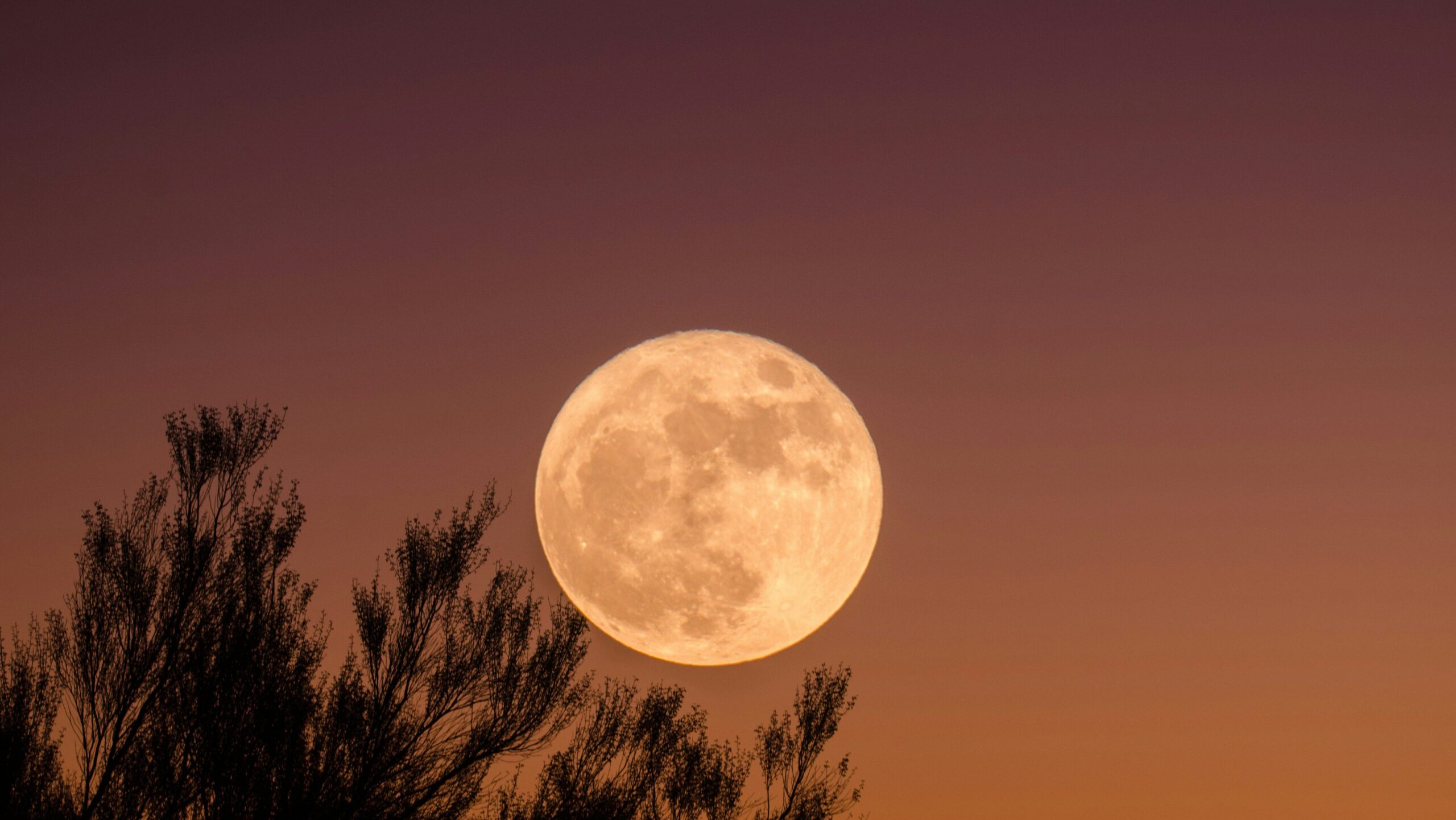moon in orange night sky