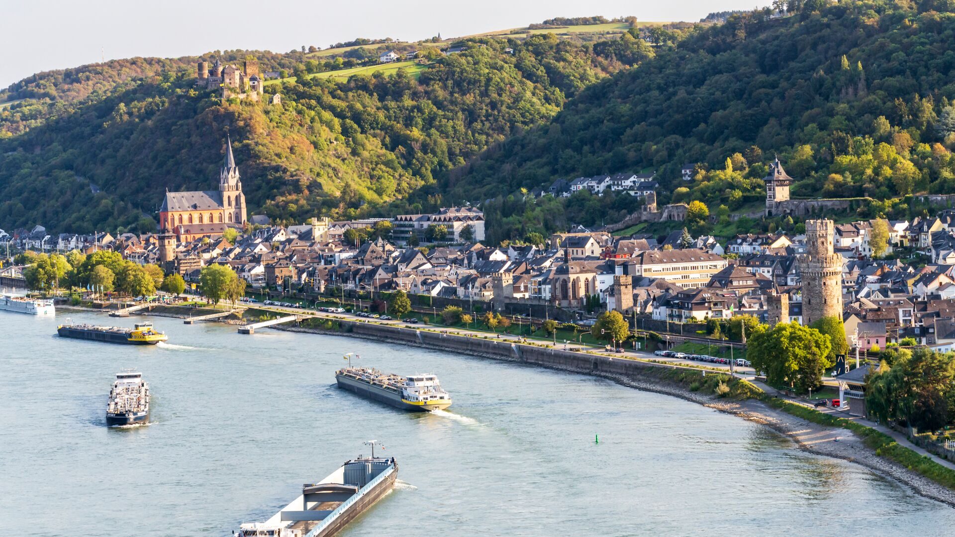 rhine river