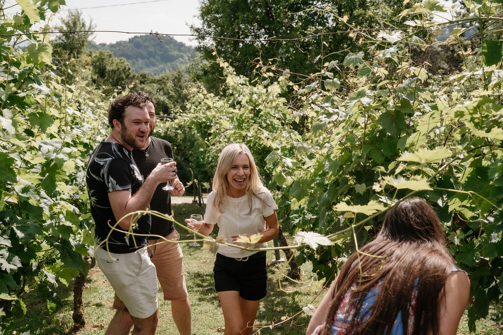 Group of travelers in a vineyard