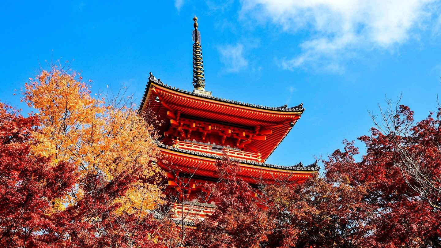 Japanese temple set next to autumnal trees
